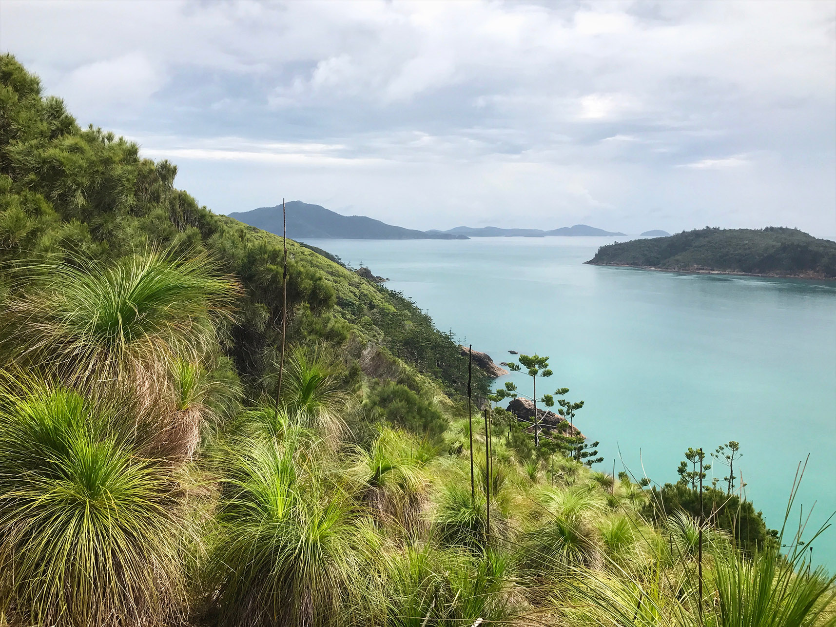 Hamilton Island Trail Project | Design, Consultancy and Construction